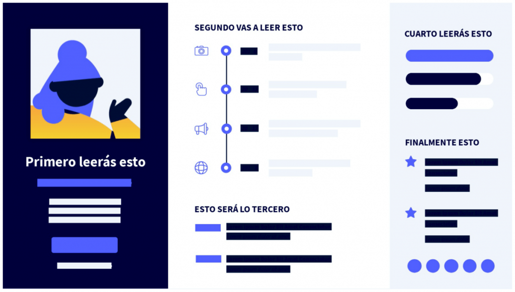 Estructura de currículum infográfico